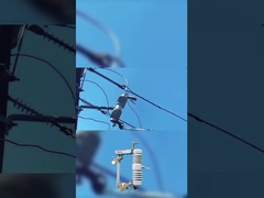 wysokiej jakości bezpiecznik wycięty 40,5 kv polimerowy lub ceramiczny wycięty bezpiecznik